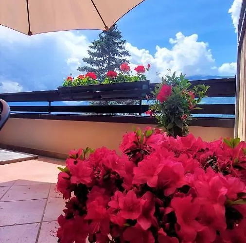 Nora S 4 - Panoramic Terrace & Bio Garden 公寓 *