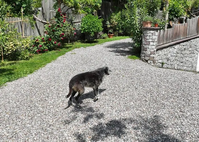 Nora S 4 - Panoramic Terrace & Bio Garden