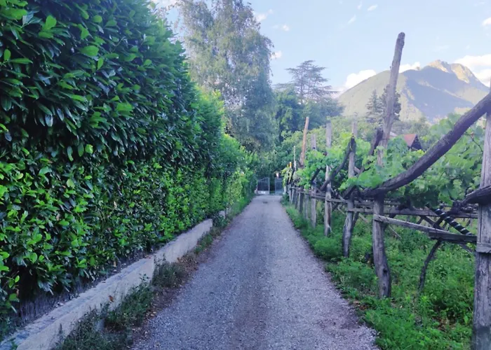 Nora S 4 - Panoramic Terrace & Bio Garden * Merano